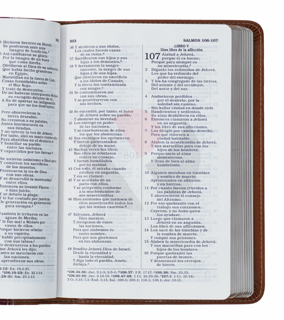 Biblia Compacta Letra Grande Con Referencias Rv Simil Piel