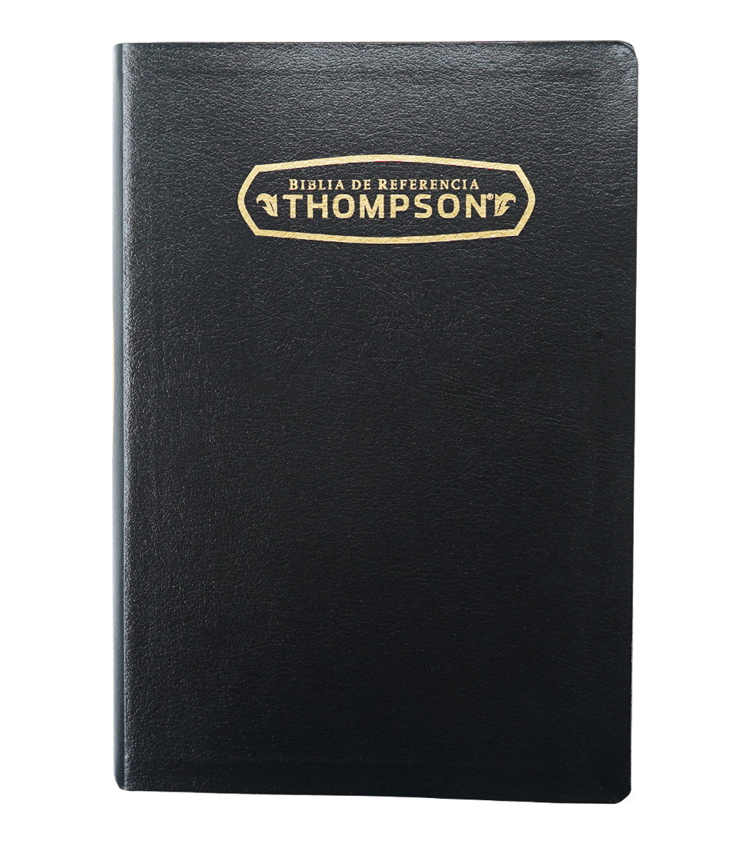 Biblia de Referencia Thompson RV 1960, Piel Especial