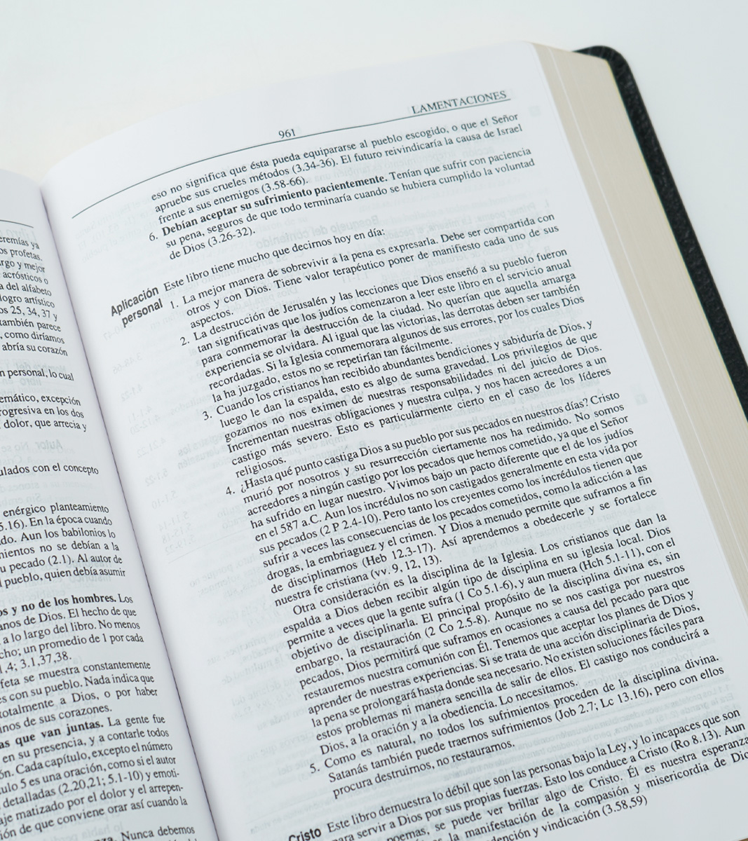 Biblia Plenitud RVR 1960 - Piel Elaborada Negra - Image 3