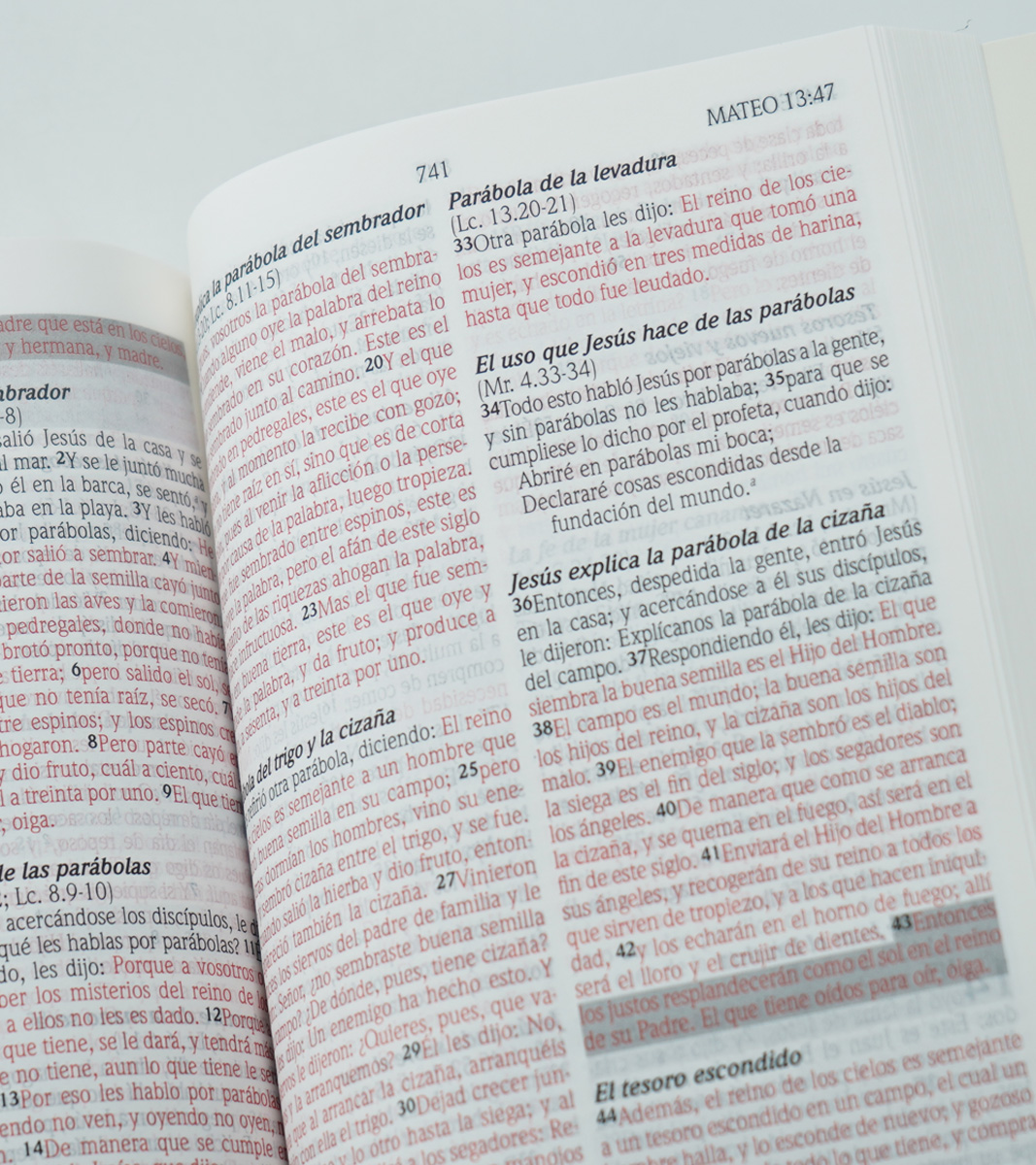 La Biblia de las Promesas RVR 1960 - Tapa Rustica Negra - Image 3