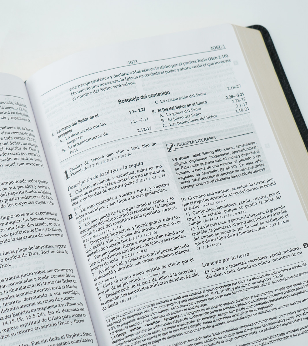 Biblia Plenitud RVR 1960 - Piel Elaborada Negra - Image 4