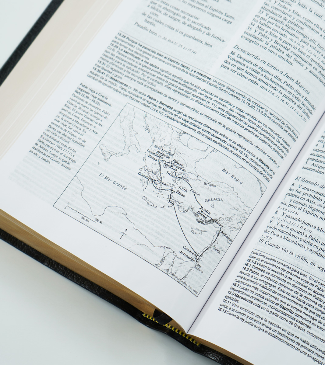 Biblia Plenitud RVR 1960 - Piel Elaborada Negra - Image 6