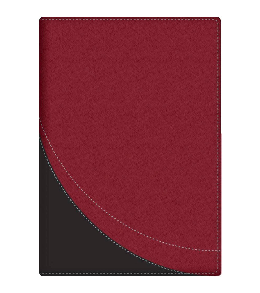 La Biblia en Orden Cronológico (Tapa Piel)