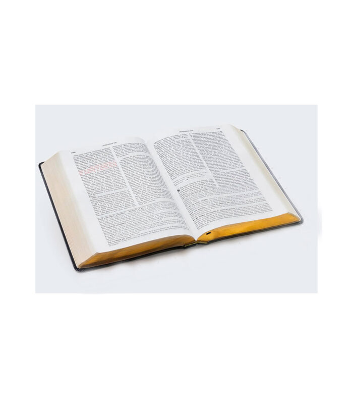 Biblia de Estudio de la  Vida Plena RVR 1960 - Piel Especial Negro - Image 3
