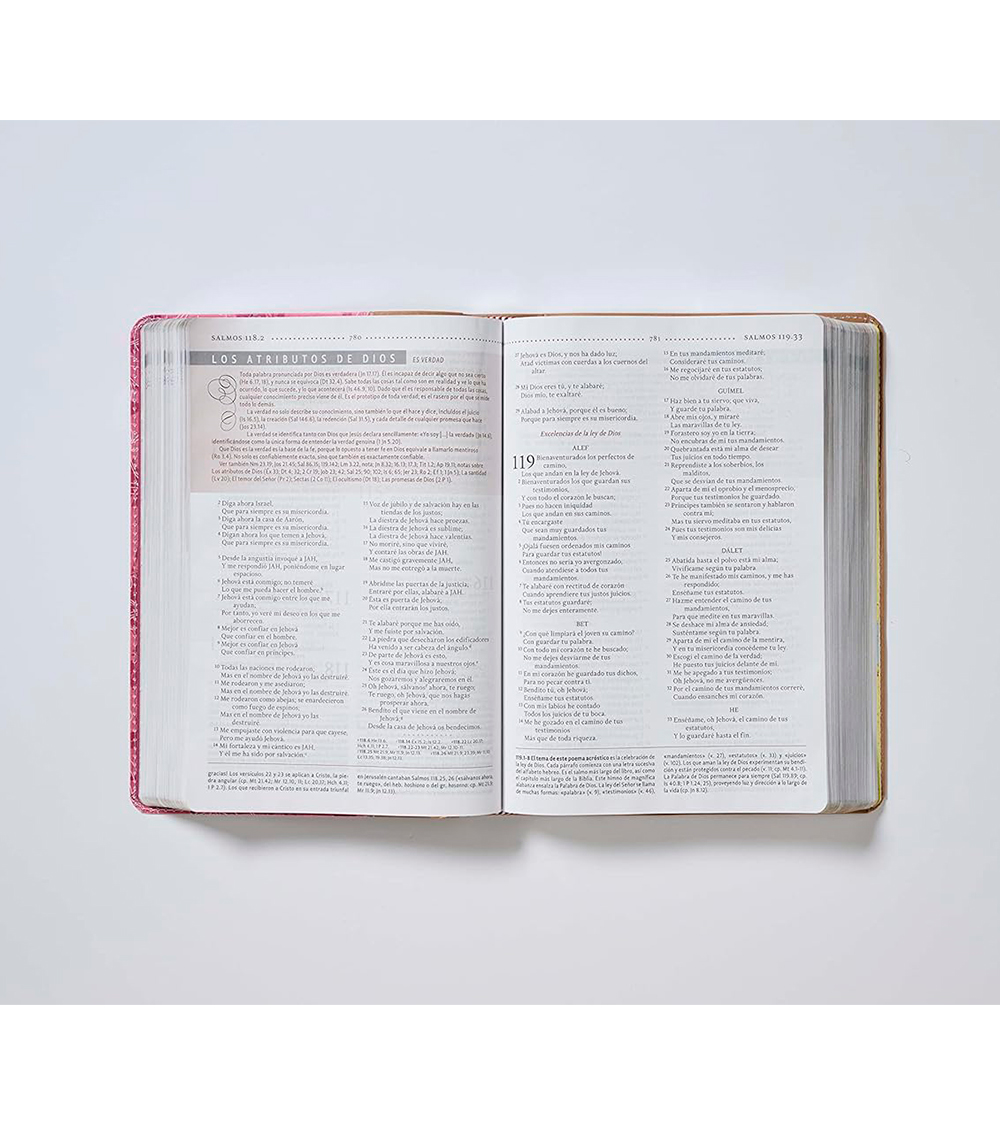 Biblia de Estudio para La Mujer - Duo Tono Marron/Rosa - Image 5