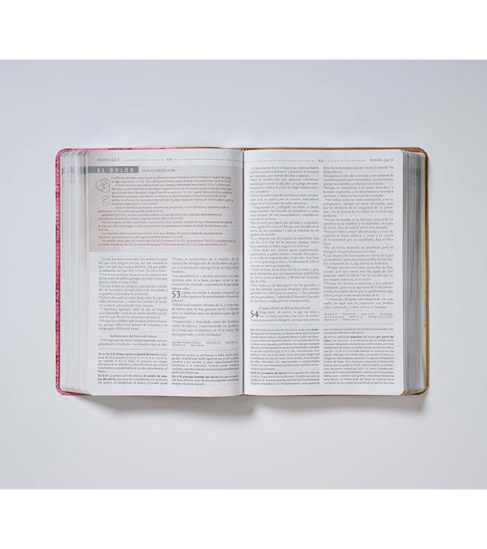 Biblia de Estudio para La Mujer - Duo Tono Marron/Rosa - Image 6