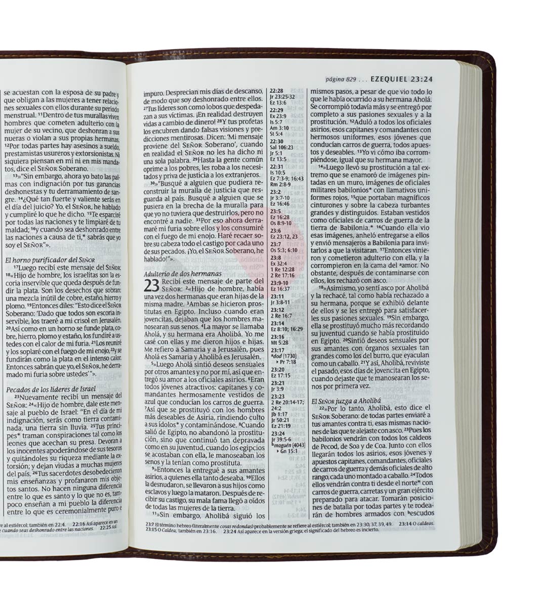 Santa Biblia Ntv, Letra Súper Gigante (Sentipiel, Café Oscuro, Índice,  Letra Roja) (Other)(Large Print) 