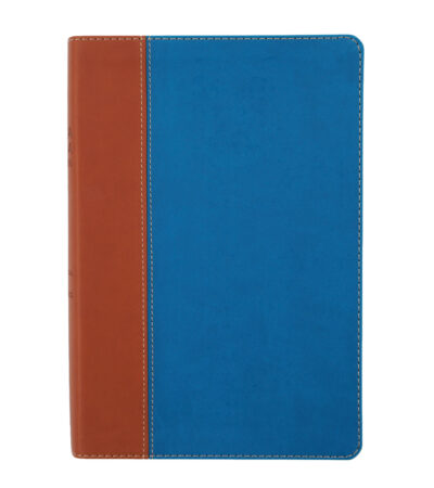 Biblia de estudio Thompson - RVR 1960 - Duo tono - Azul/Marron