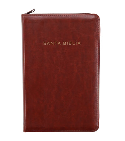 Biblia Letra Grande RV 1960 con Cierre Tamaño Manual - Imitacion Piel Marron