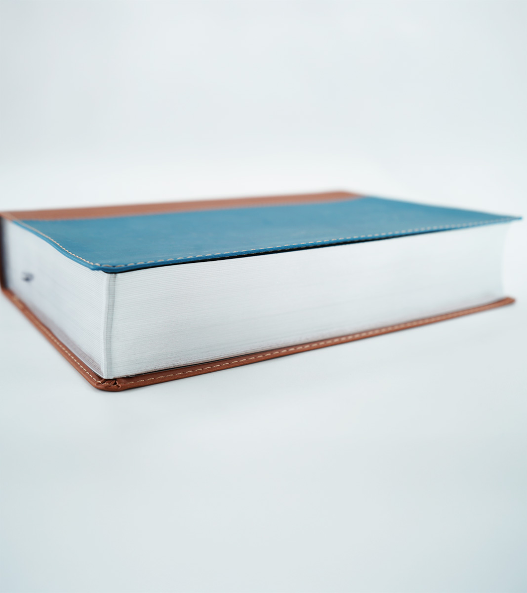 Biblia de estudio Thompson - RVR 1960 - Duo tono - Azul/Marron - Image 3