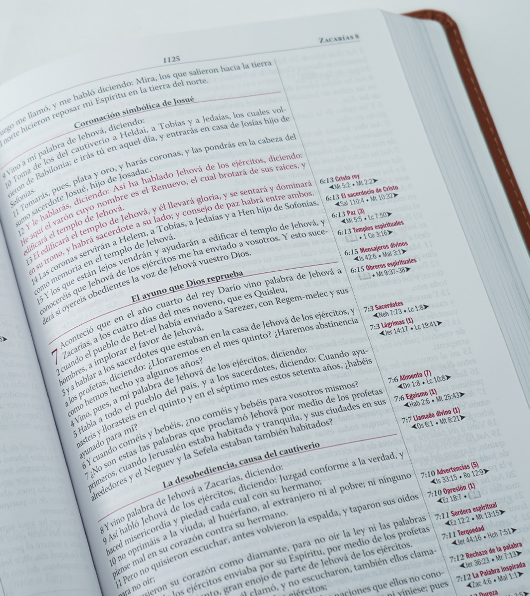 Biblia de estudio Thompson - RVR 1960 - Duo tono - Azul/Marron - Image 5