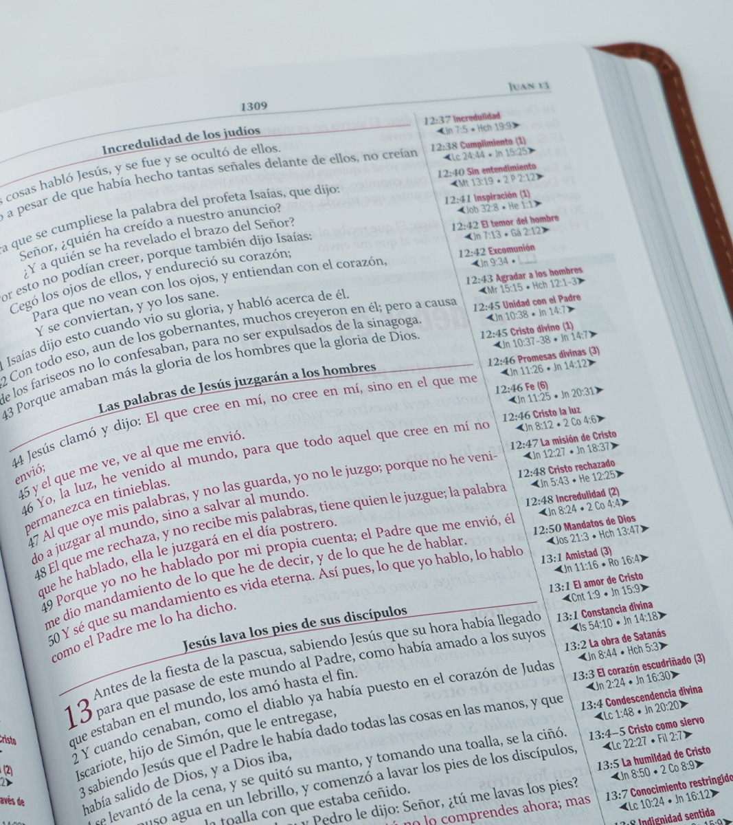 Biblia de estudio Thompson - RVR 1960 - Duo tono - Azul/Marron - Image 6