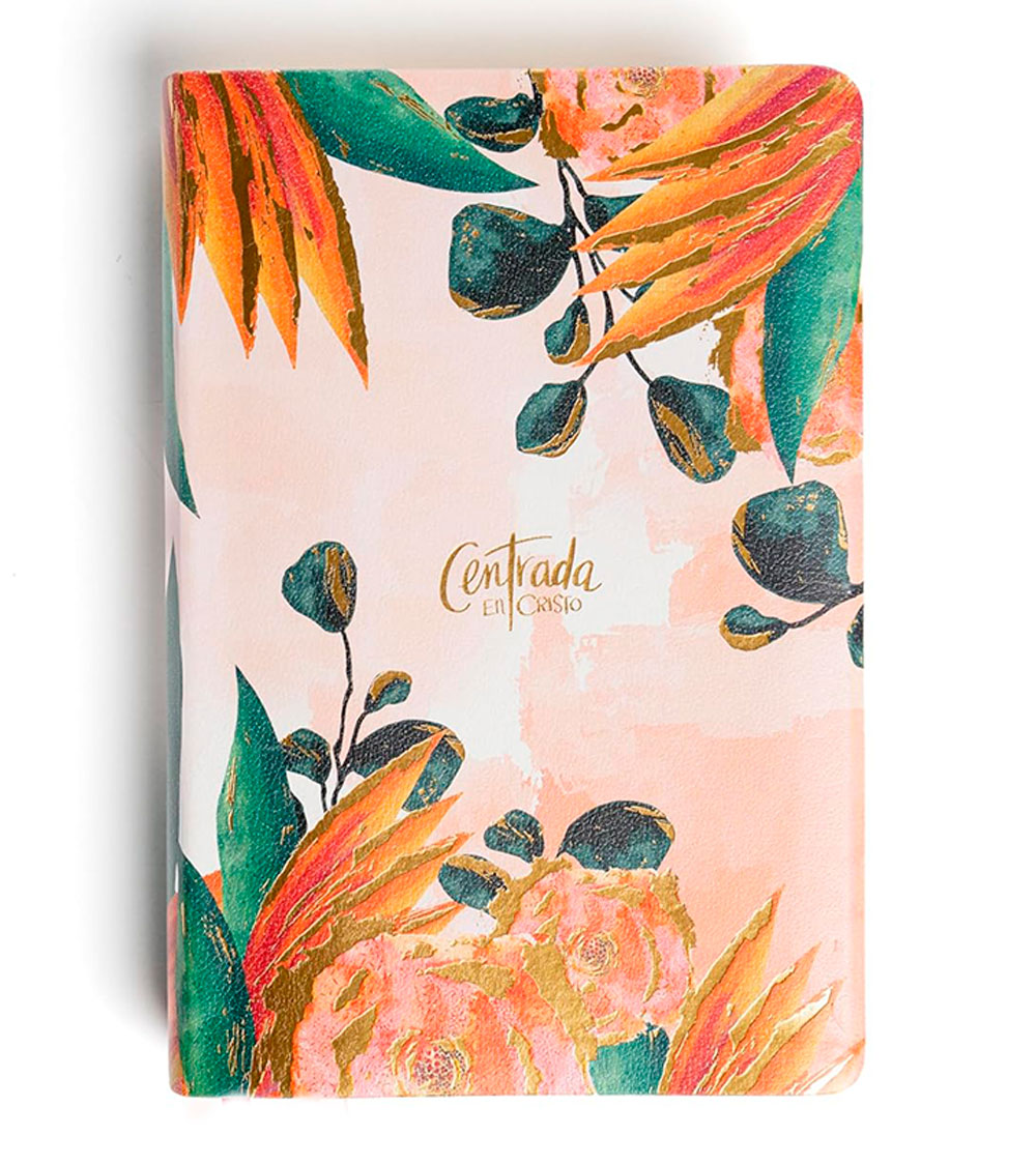 Biblia devocional para mujeres Centrada en Cristo RVR 1960 - Piel imitación