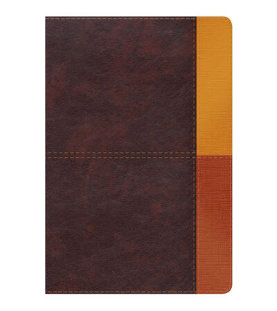 Biblia RV1960 de Estudio Arcoiris - Simil Piel Cacao y Terracota
