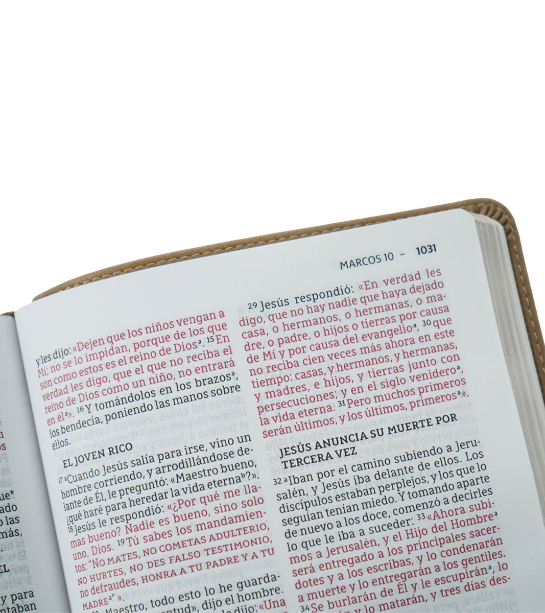 Libreria　Beige　Biblia　Peniel　Imitacion　Gigante　NBLA　Letra　Ultrafina　Piel
