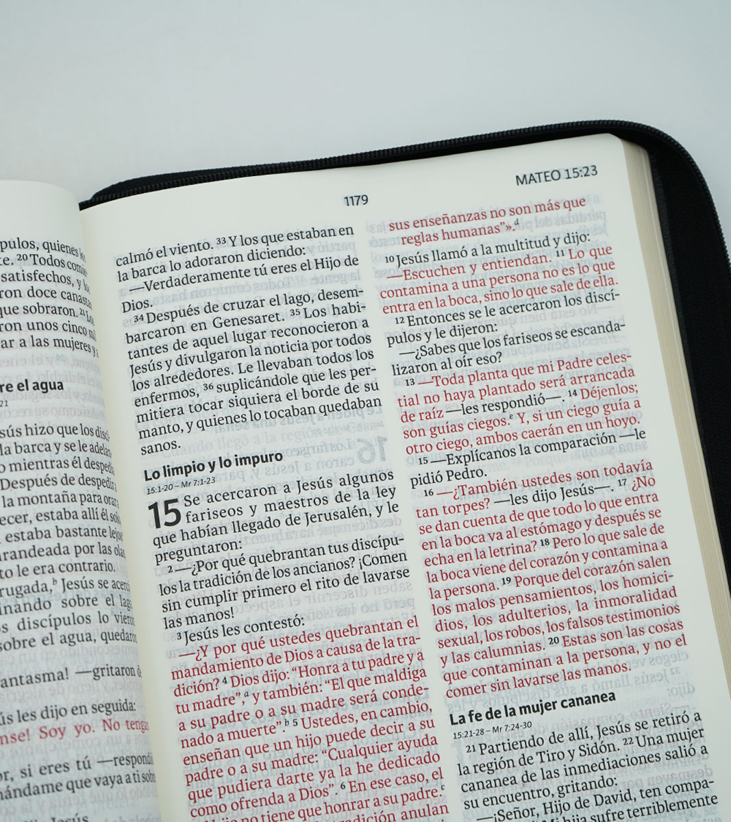 Santa Biblia NVI Letra Gigante Con Cierre - Imitacion Piel Negro - Image 4