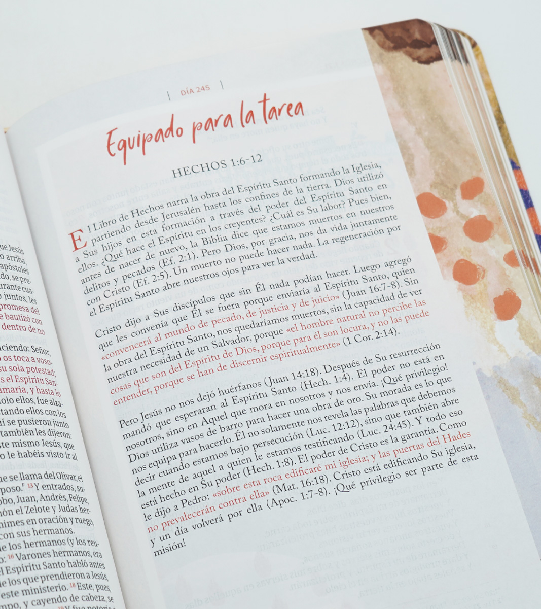 Biblia RVR60 Centrada en Cristo - simil piel matizada - Image 5