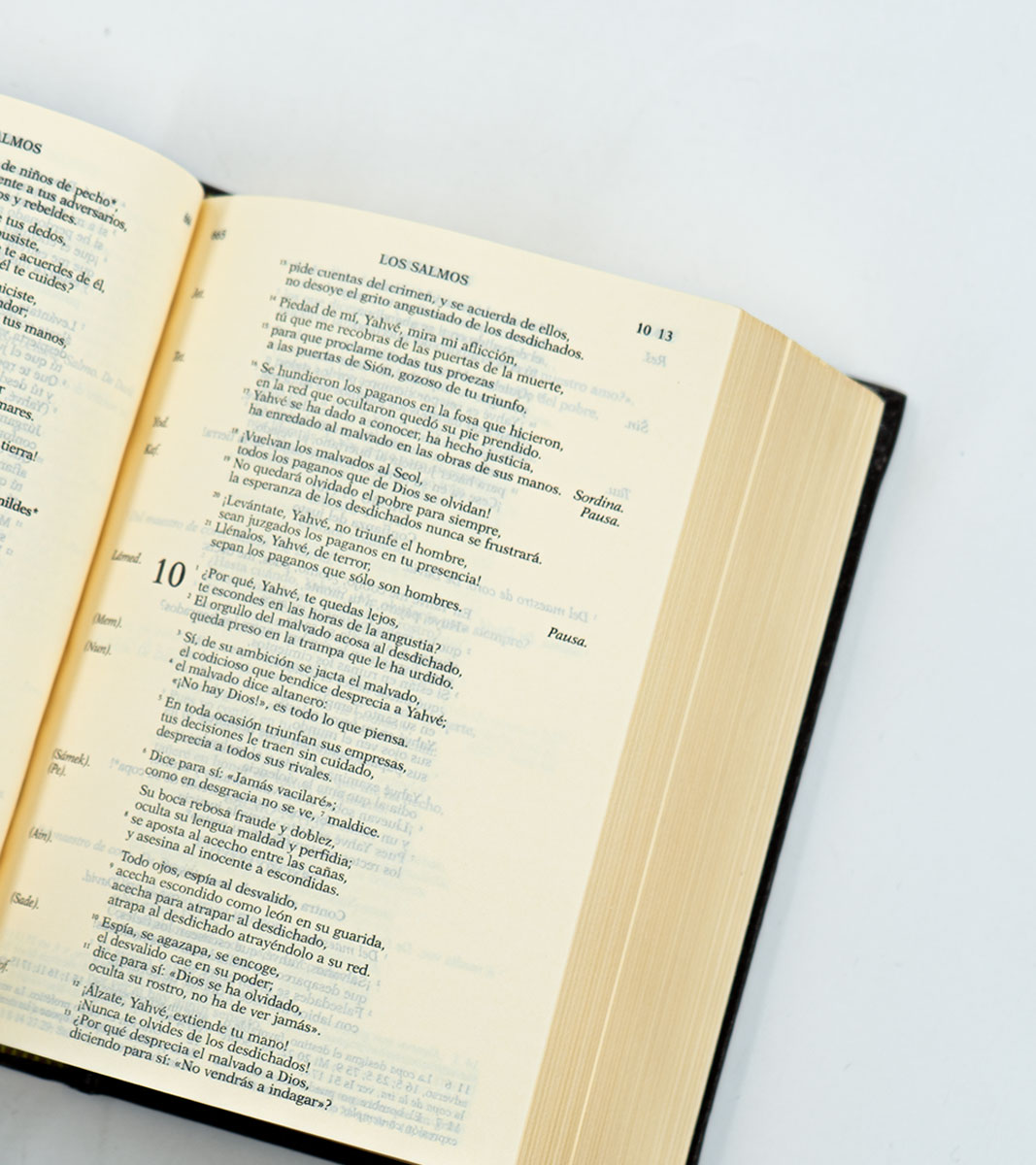 Biblia de Jerusalen, Compacta - Tapa Dura Marron Con Caja - Image 4