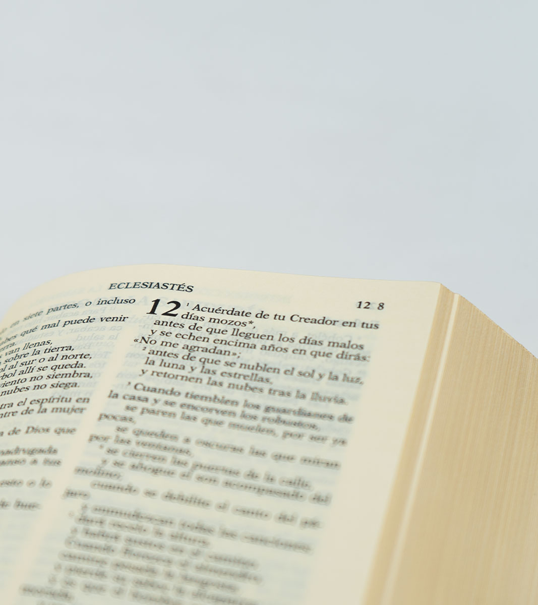 Biblia de Jerusalen, Compacta - Tapa Dura Marron Con Caja - Image 5