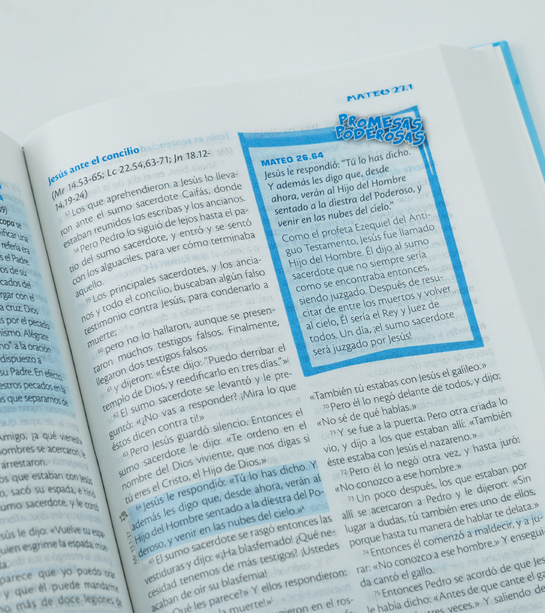 Biblia De Estudio De La Vida Plena Para Niños RVC - Image 4