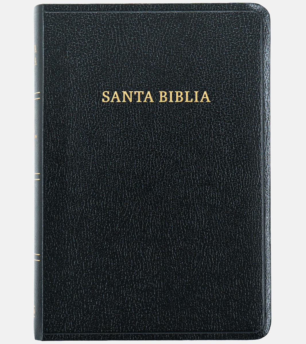 Biblia RV1960 Tamaño Manual Letra Grande - Imitacion Piel Negro