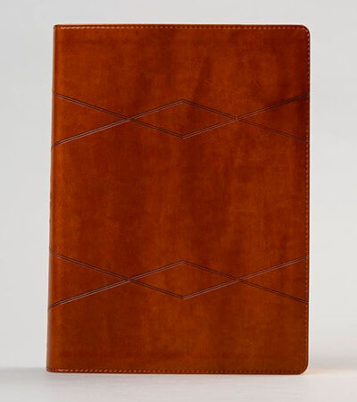 Biblia De Estudio Holman RV1960 - Imitacion Piel Marron