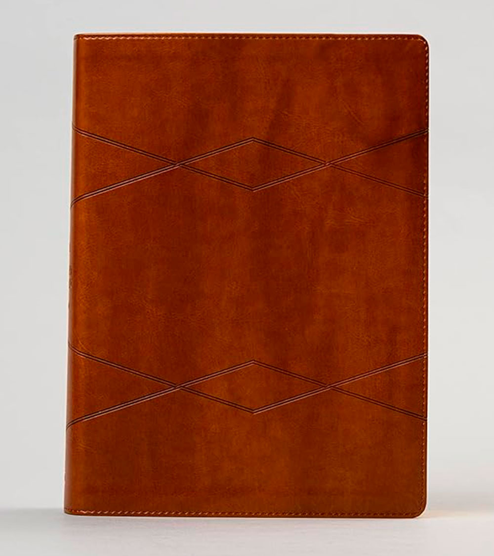 Biblia De Estudio Holman RV1960 - Imitacion Piel Marron