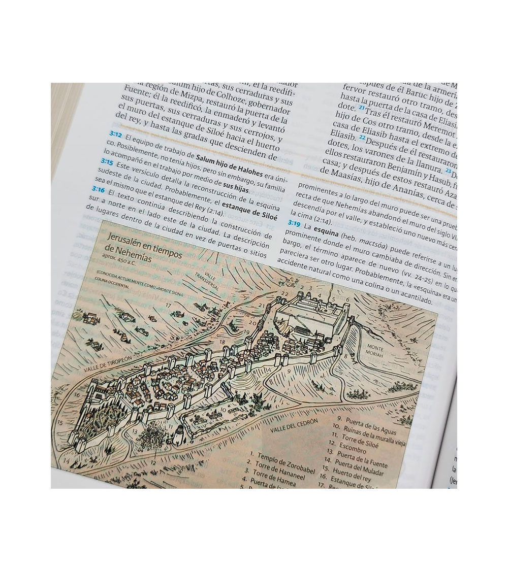 Biblia De Estudio Holman RV1960 - Imitacion Piel Marron - Image 3