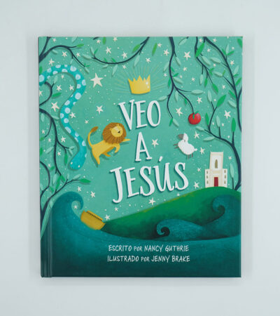 Veo a Jesús