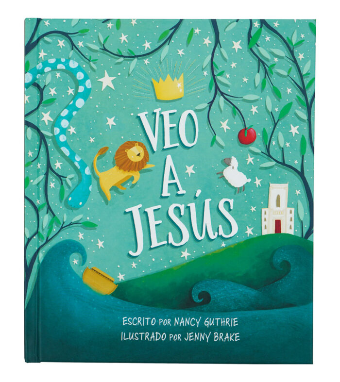 Veo a Jesús