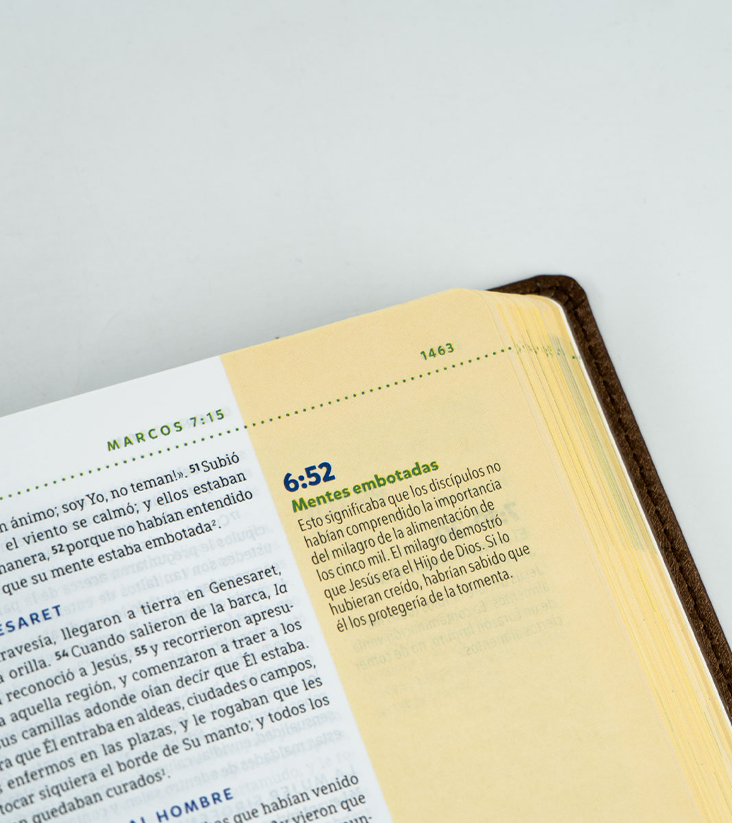 Biblia Visual de Estudio Para Niños Leon - NBLA - Leathersoft - Cafe - Comfort Print - Image 5