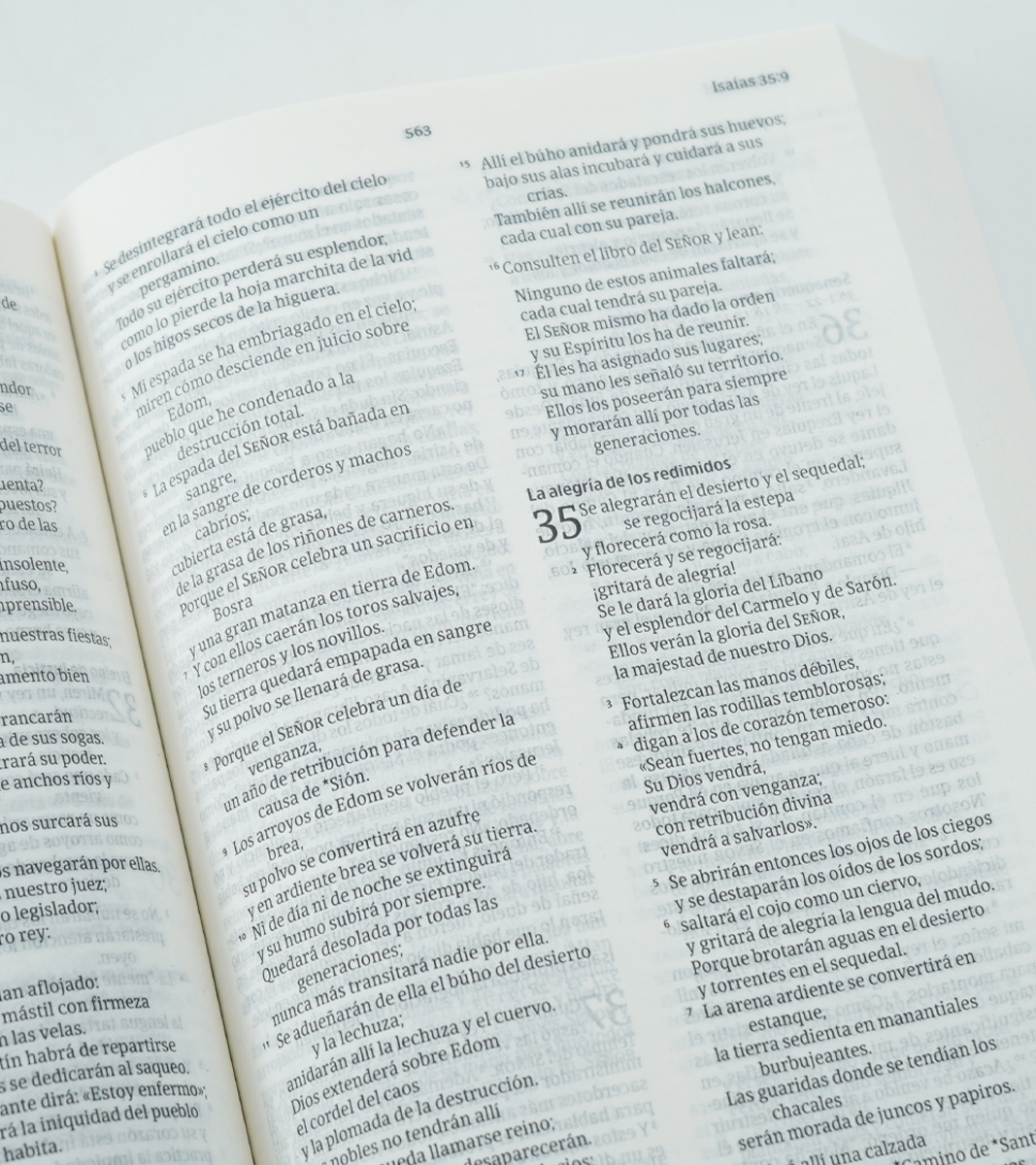 SANTA BIBLIA NVI 2022 - ULTRAFINA RUSTICA - AZUL JUVENIL - Image 3