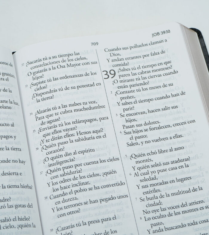 Biblia Letra Super Gigante RVR 1960 - Piel Negro - Image 3