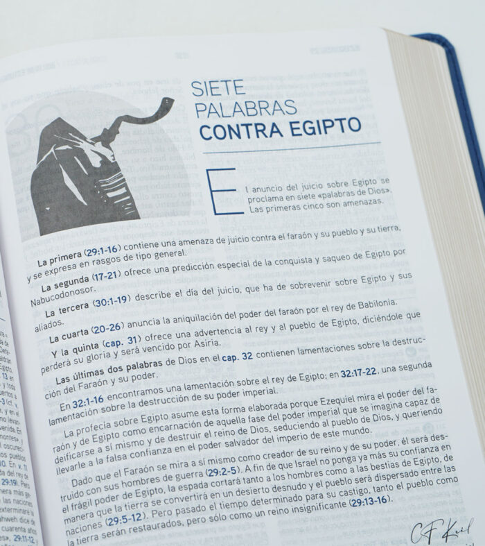 Biblia de Estudio del Mensaje Profetico y Escatologico Imiracion Azul - RVR - Image 6