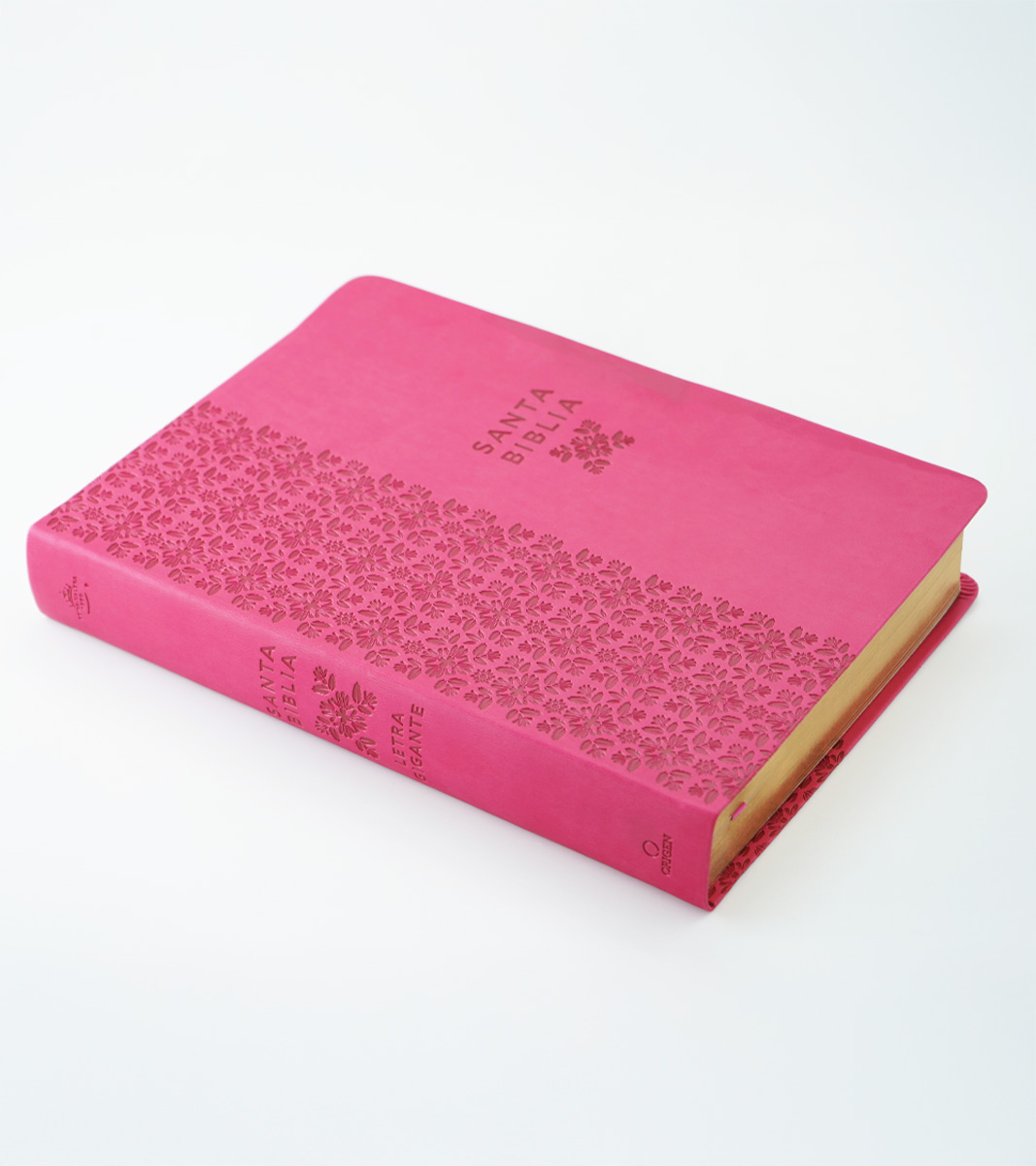 Biblia RVR60 Fucsia Letra Super Gigante 2 Biblia Letra Super Gigante RVR 1960 - Cuero Ecologico Rosa
