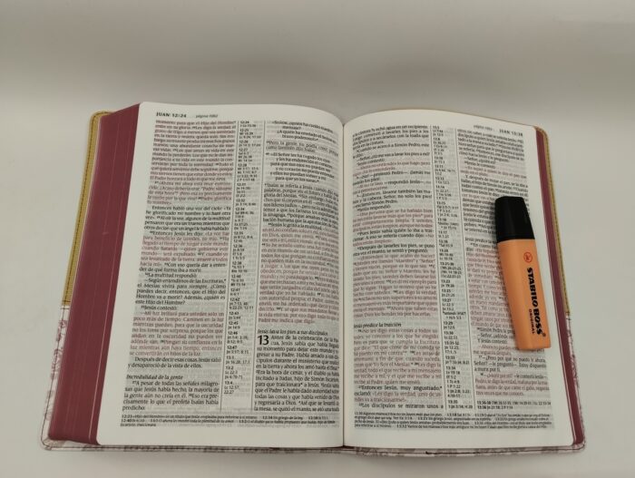 Santa Biblia letra grande - NTV - Edición de referencia ultrafina - Imitacion Crema Flores - Image 4