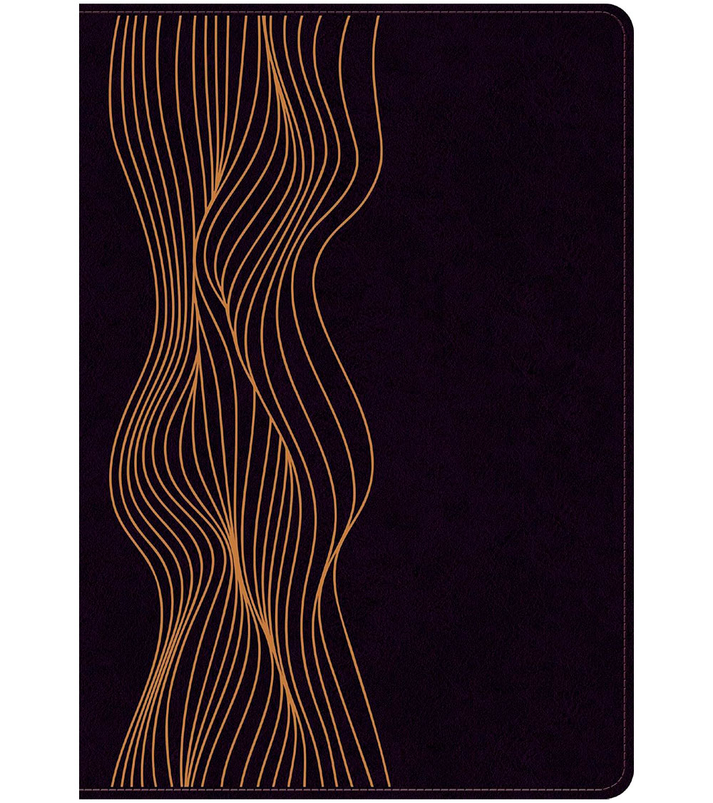 Biblia de Estudio del Diario Vivir RVR 1960 – Simil Morado Oscuro