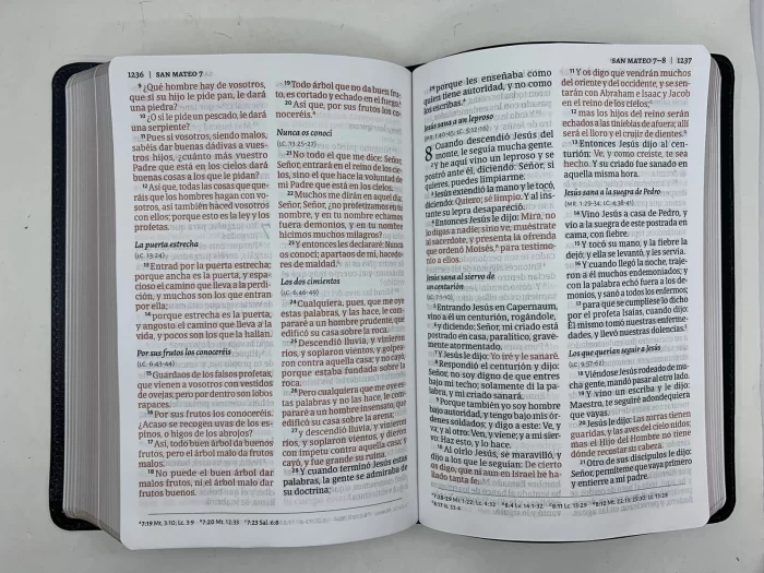 Biblia Letra Grande RVR 1960 Tamaño Manual – Imitacion Piel Negro Tipo - Image 6