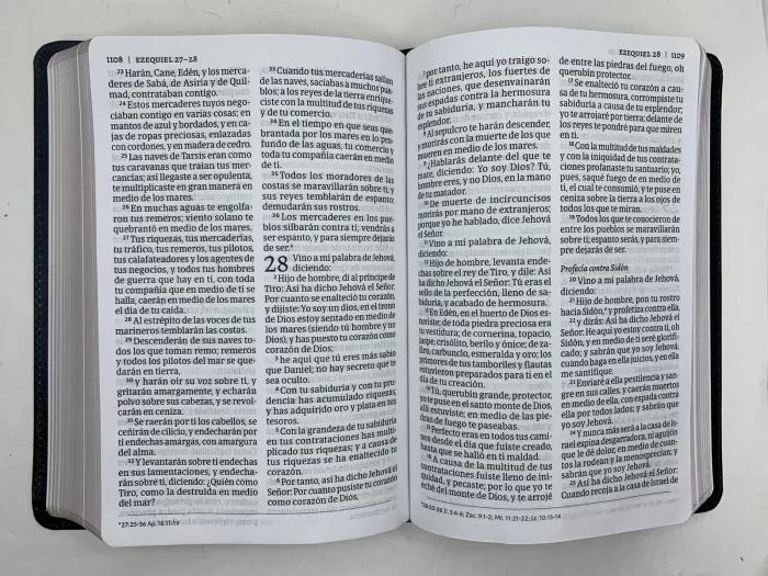 Biblia Letra Grande RVR 1960 Tamaño Manual – Imitacion Piel Negro Tipo - Image 5