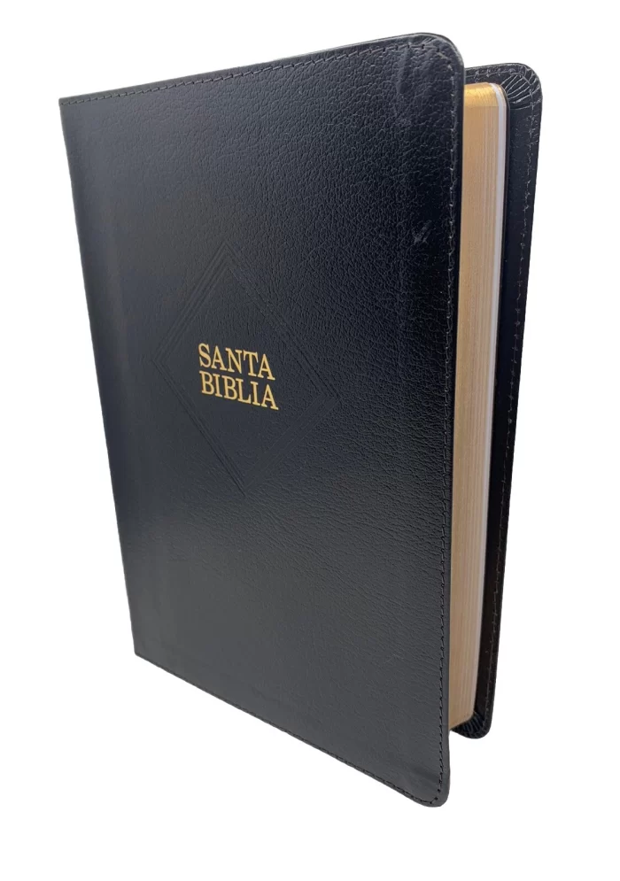 Biblia Letra Grande RVR 1960 Tamaño Manual – Imitacion Piel Negro Tipo - Image 4