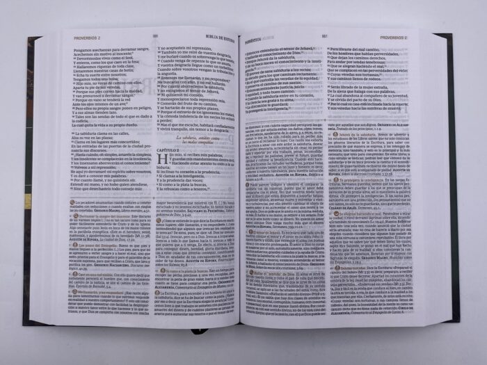 Biblia de Estudio Patristica RVR - Tapa Dura - Image 5
