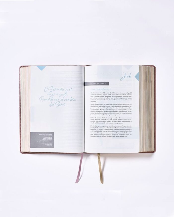 Biblia Ama a Dios Grandemente NBLA - Imitacion Oro Rosa - Image 4