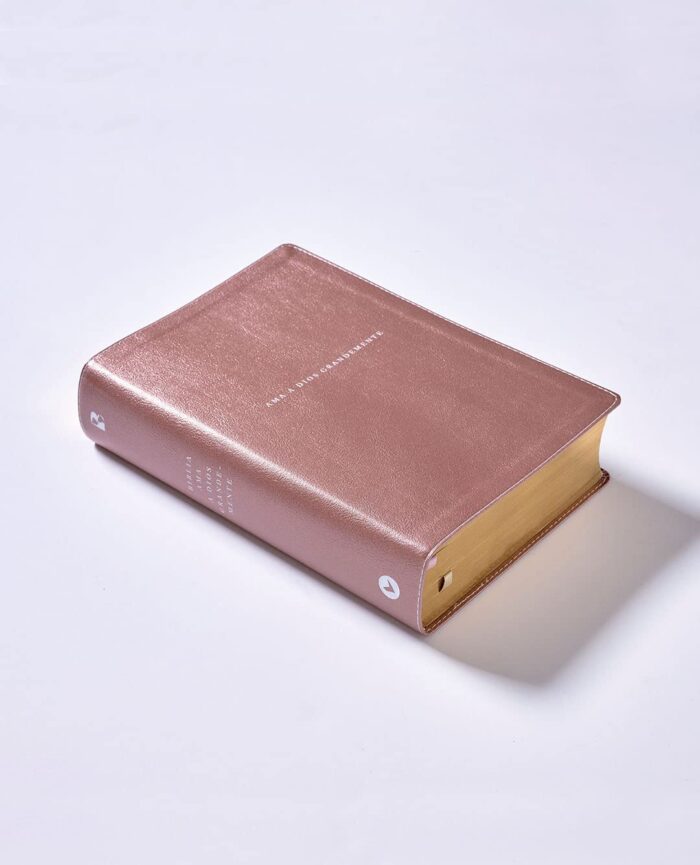 Biblia Ama a Dios Grandemente NBLA - Imitacion Oro Rosa - Image 3
