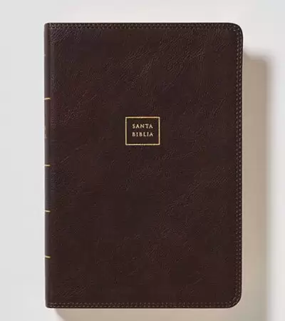 Biblia Letra Gigante Rvr 1960 - Edicion Ultrafina Piel Cafe