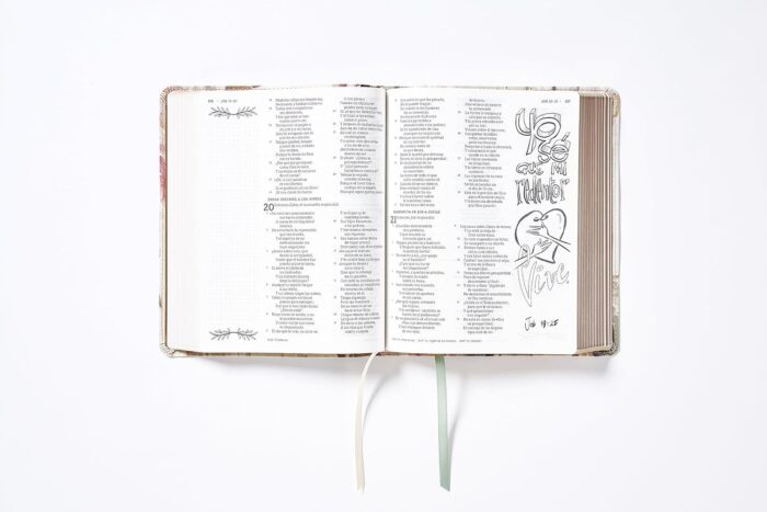 Santa Biblia Edicion Artistica Ilustrada NBLA – Imitacion Crema - Image 3