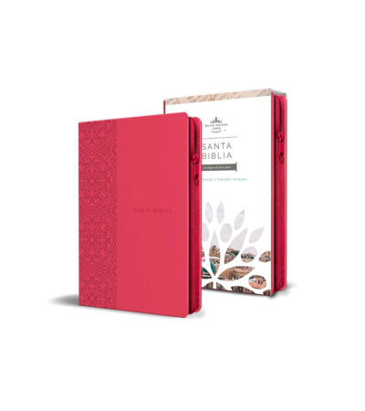 Biblia Letra Grande RV 1960 con Cierre Tamaño Manual - Imitacion Piel Fucsia