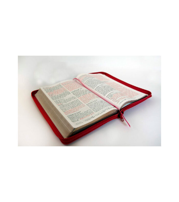 Biblia Letra Grande RV 1960 con Cierre Tamaño Manual - Imitacion Piel Fucsia - Image 2