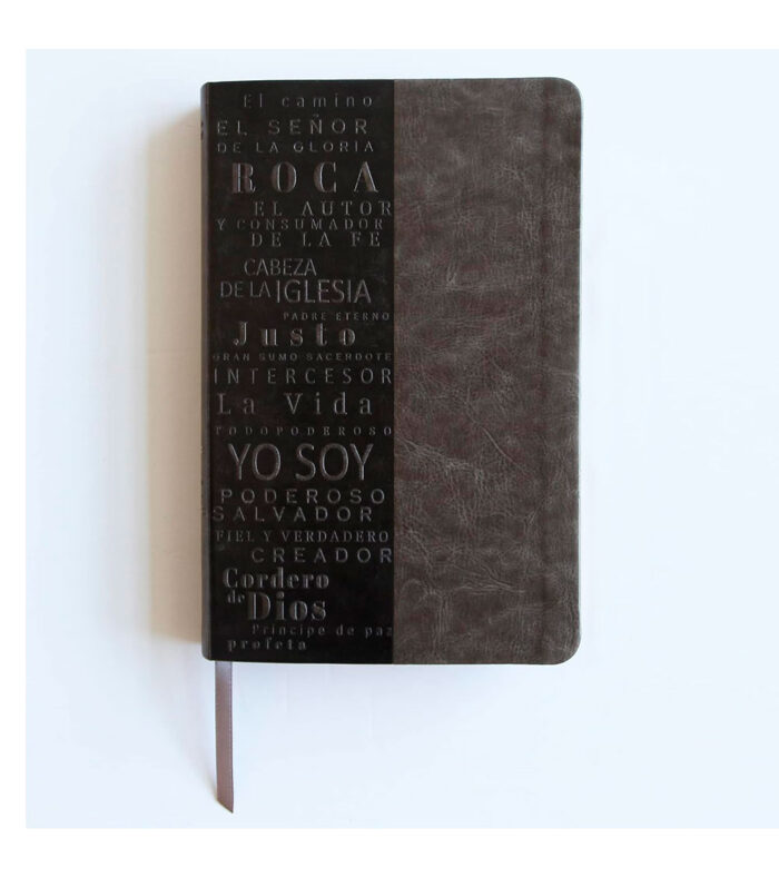 Santa Biblia Letra Grande Tamaño Manual Imitacion Piel Gris - RVR 1960 Nombres de Dios