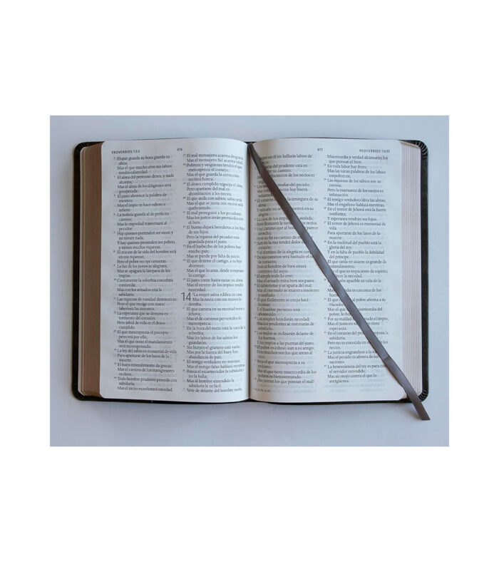 Santa Biblia Letra Grande Tamaño Manual Imitacion Piel Gris - RVR 1960 Nombres de Dios - Image 3