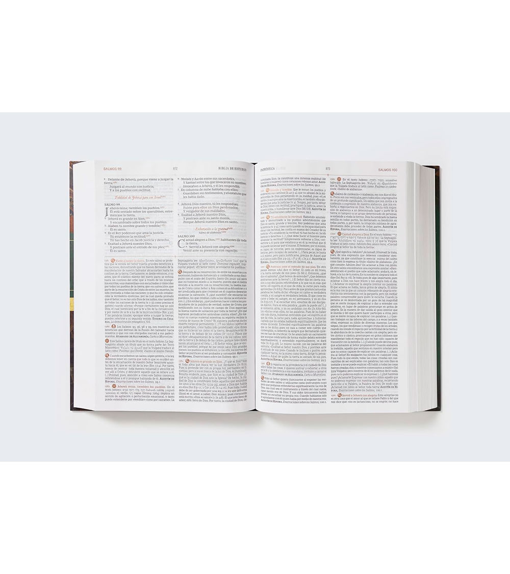 Biblia de Estudio Patristica RVR - Tapa Dura - Image 3